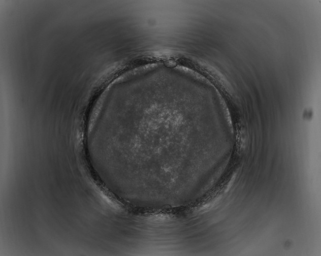 X0000101090593200807171850