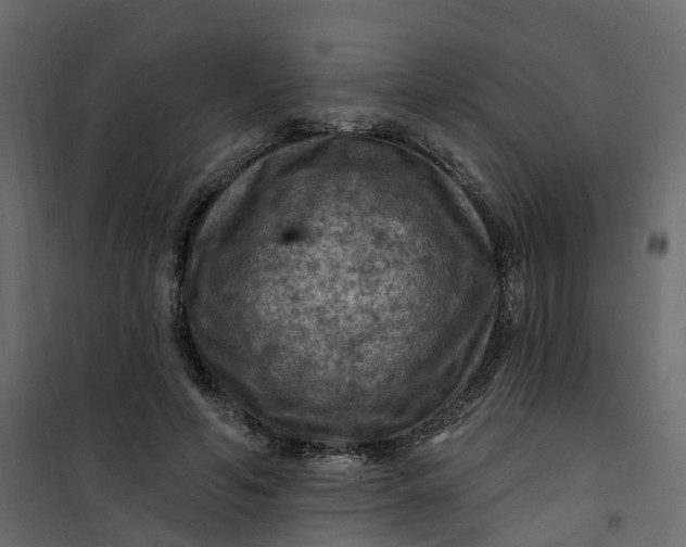 X0000101090594200807171850