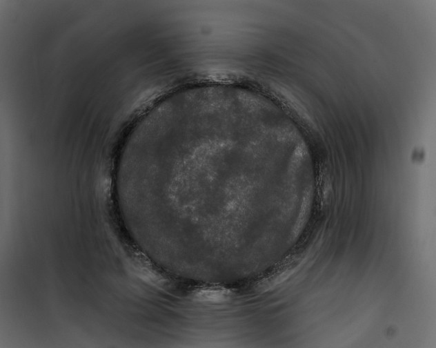 X0000101090595200807171850