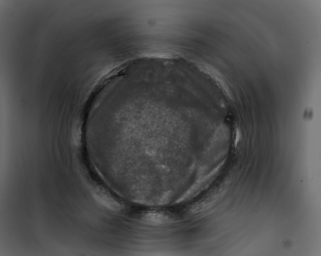 X0000101090596200807171850