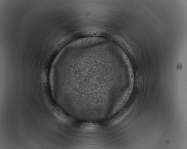 X0000101090597200807171850