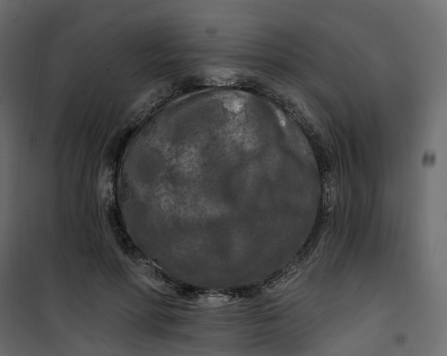 X0000101090598200807171850