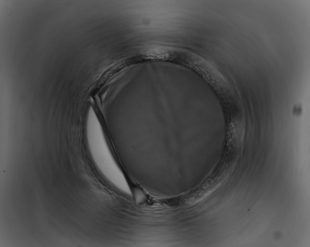 X0000101090600200807171850