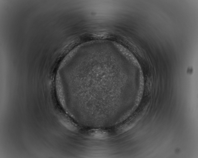 X0000101090601200807171850