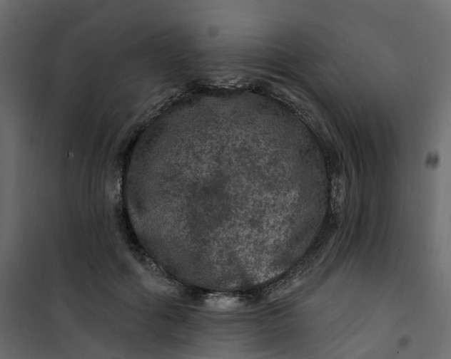 X0000101090602200807171850