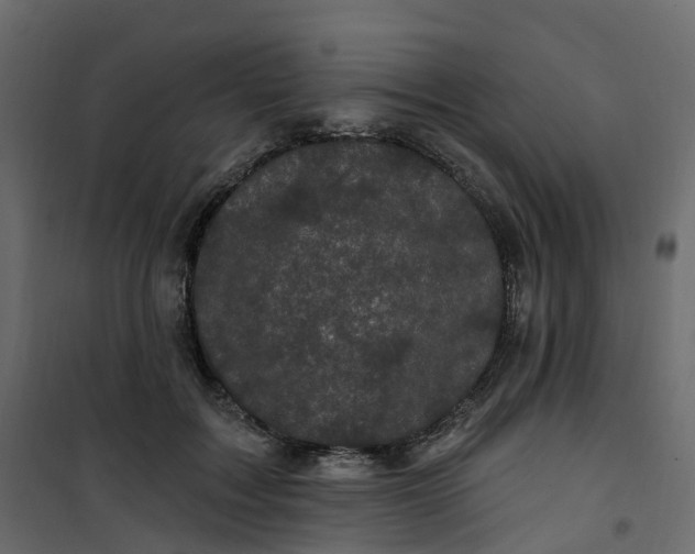 X0000101090603200807171850