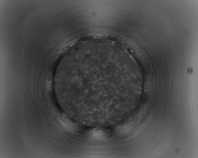 X0000101090604200807171850