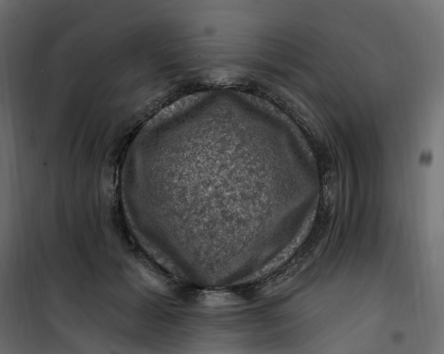 X0000101090605200807171850