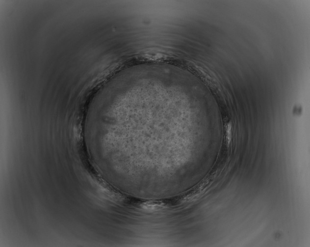 X0000101090606200807171850