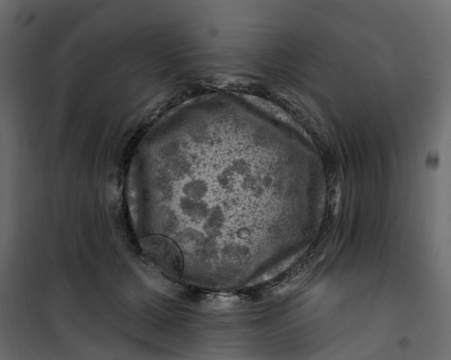 X0000101090607200807171850