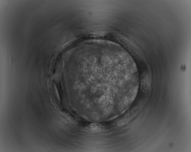 X0000101090608200807171850