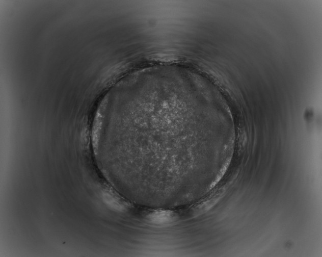 X0000101090609200807171850