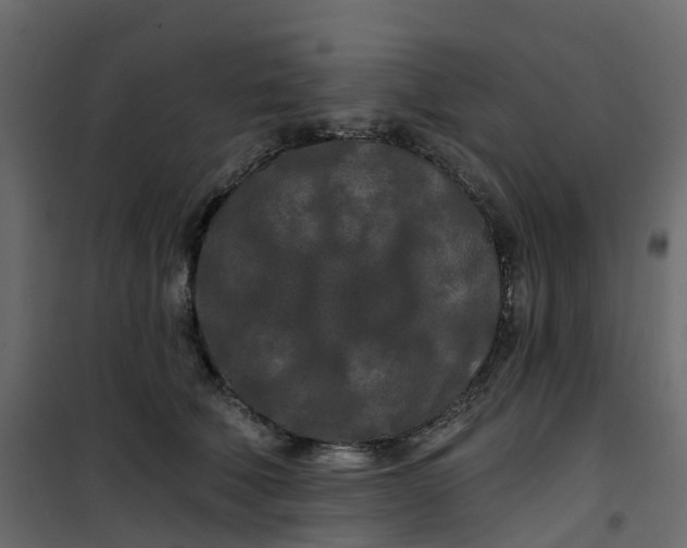 X0000101090610200807171850