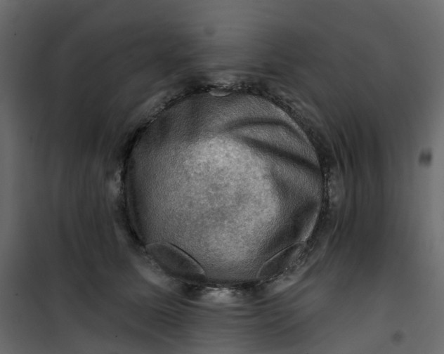 X0000101090611200807171850