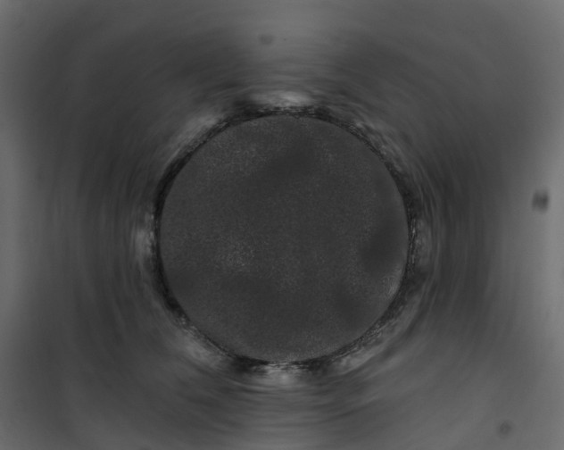 X0000101090612200807171850