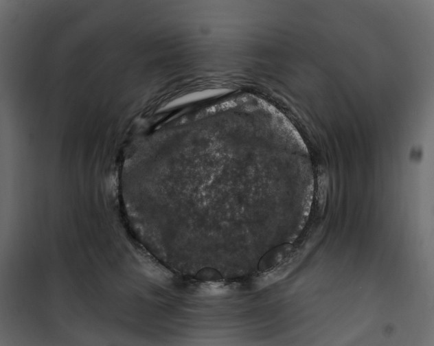 X0000101090613200807171850