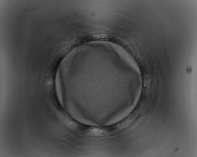 X0000101090614200807171850