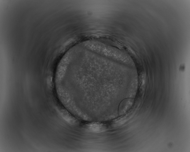 X0000101090615200807171850