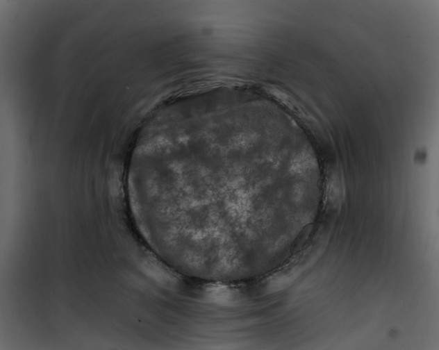 X0000101090616200807171850