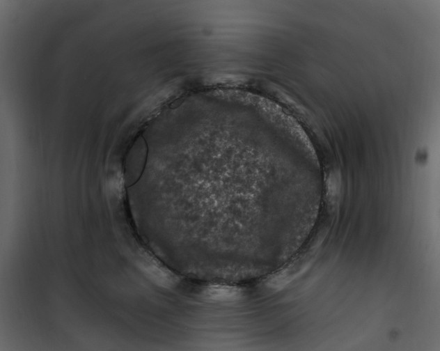 X0000101090617200807171850