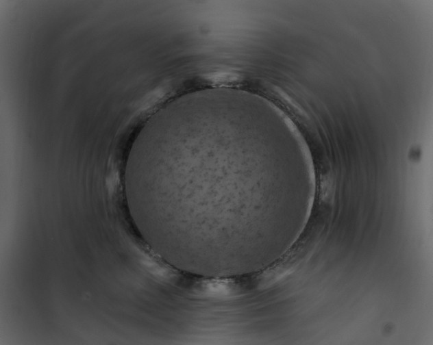 X0000101090618200807171850