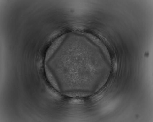 X0000101090619200807171849