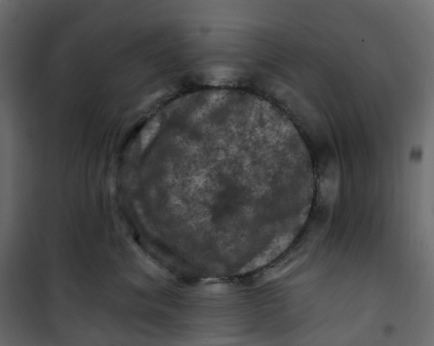 X0000101090620200807171849