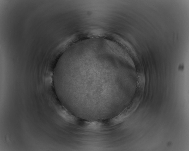 X0000101090621200807171849