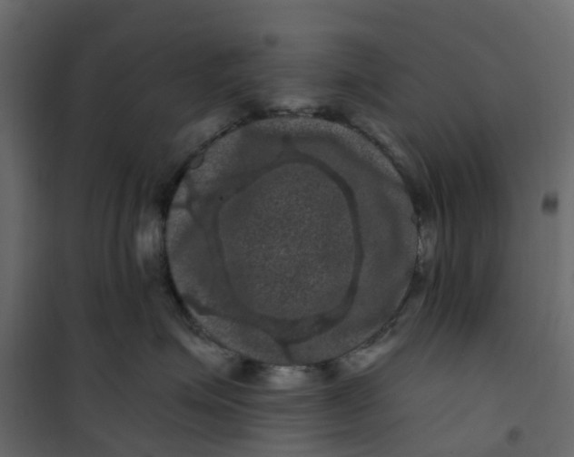 X0000101090623200807171849