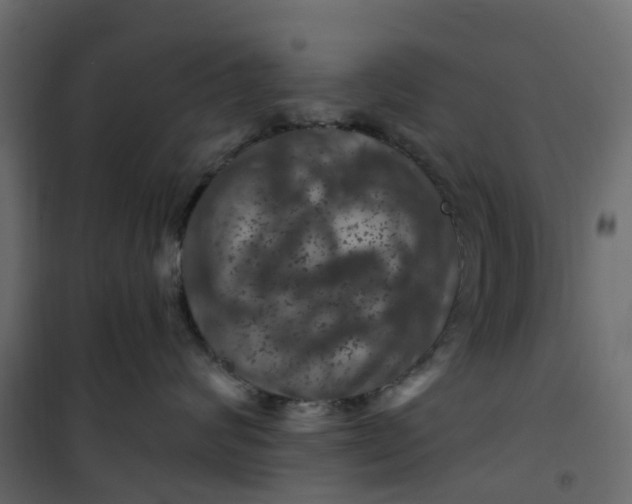 X0000101090624200807171849