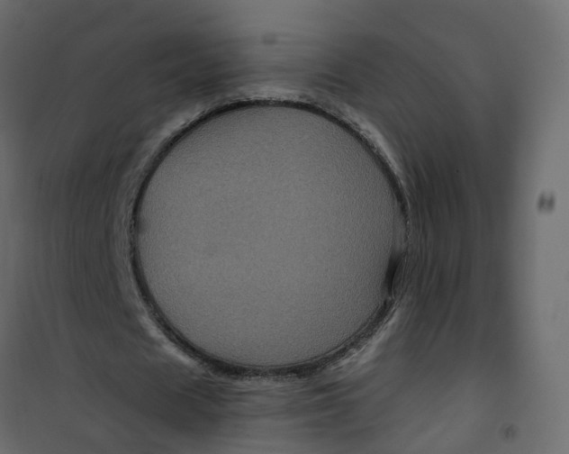 X0000101090625200807171848