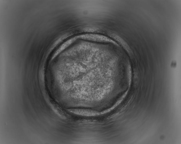 X0000101090626200807171848