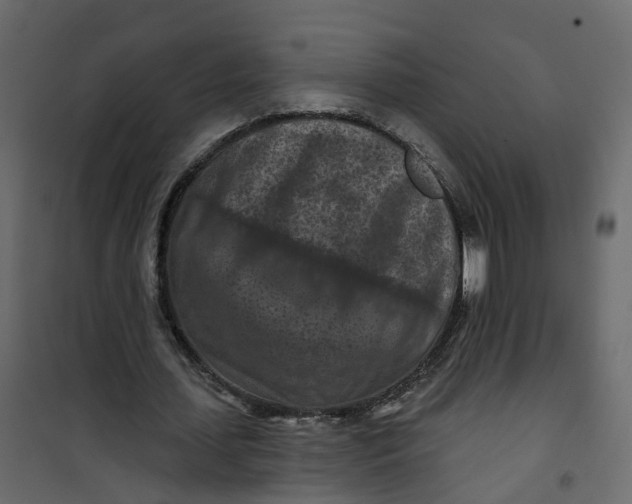 X0000101090627200807171848