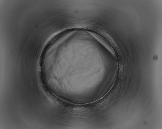 X0000101090628200807171848