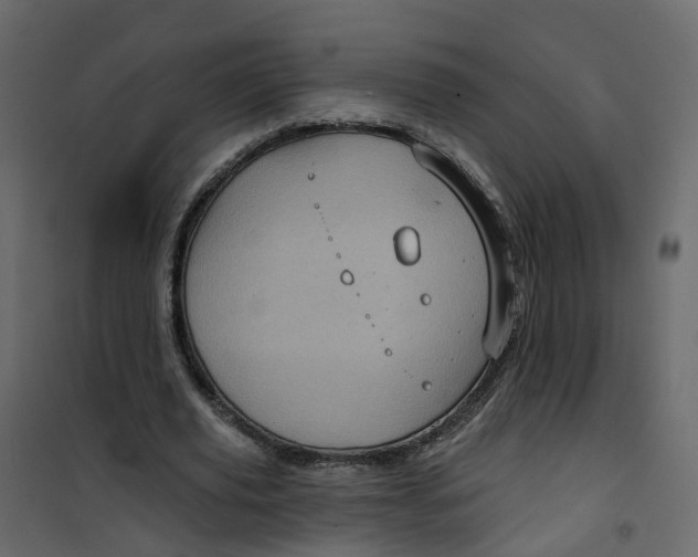 X0000101090629200807171848