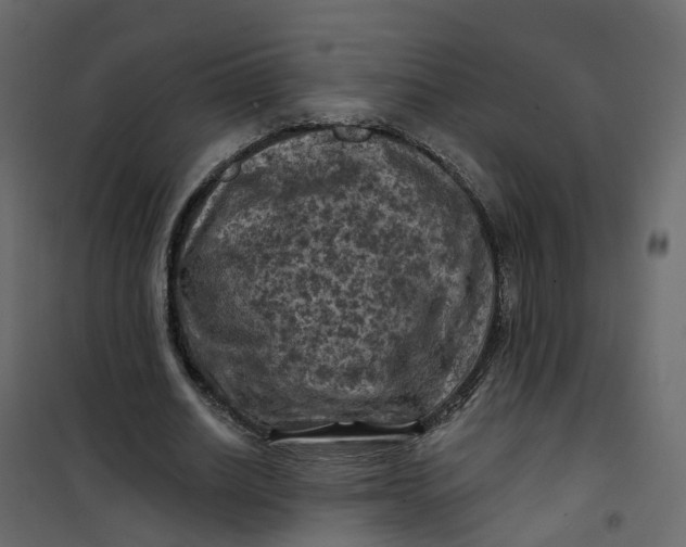 X0000101090630200807171848