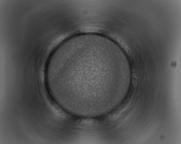 X0000101090631200807171849