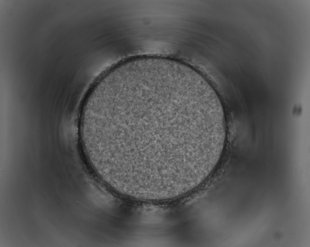 X0000101090632200807171849