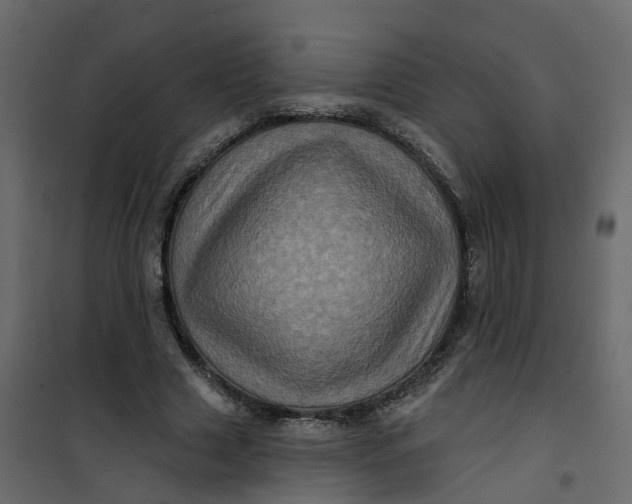 X0000101090633200807171849