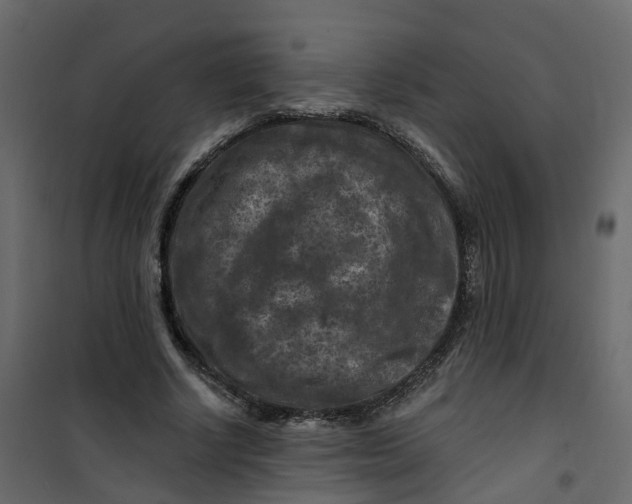 X0000101090634200807171849