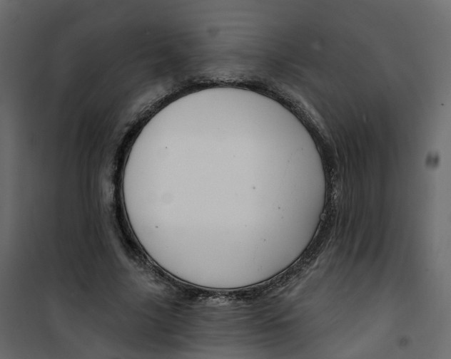 X0000101090635200807171849