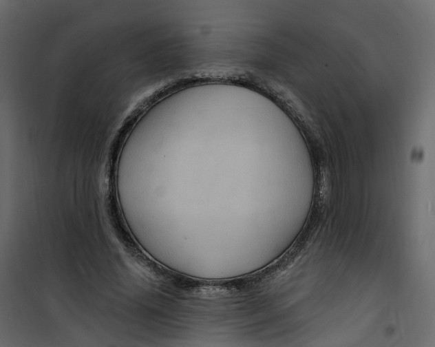 X0000101090636200807171849