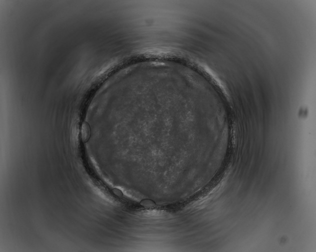 X0000101090637200807171849