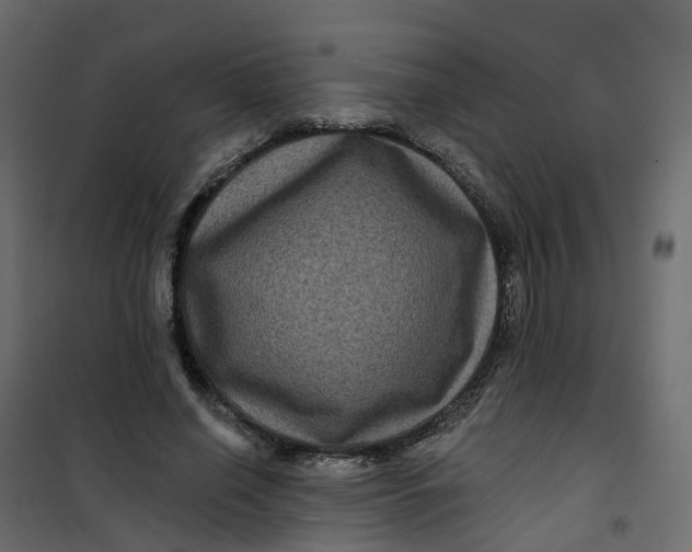 X0000101090638200807171849