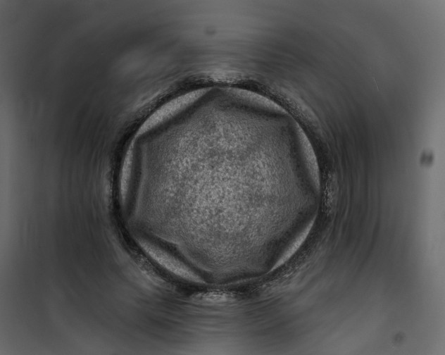 X0000101090639200807171849