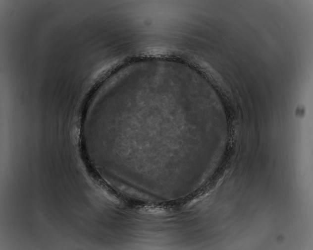 X0000101090640200807171849