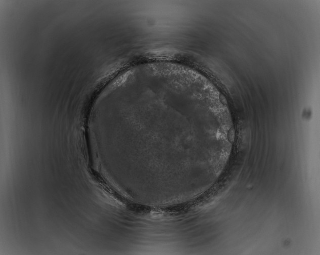 X0000101090641200807171849