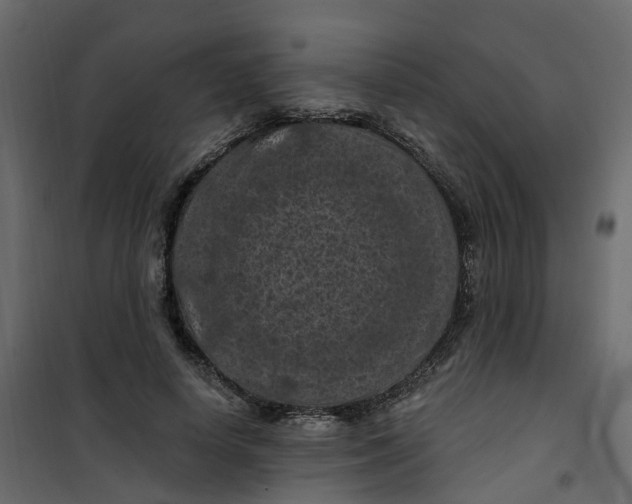 X0000101090642200807171849