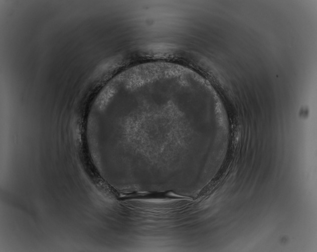 X0000101090643200807171849