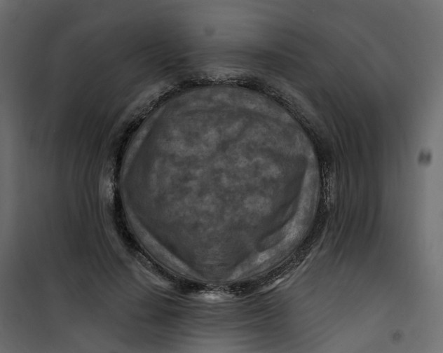 X0000101090644200807171849